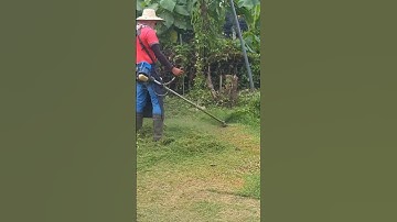 PART 1 CUTTING THE OVERGROWN GRASS AND WEEDS