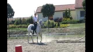 Moravský Seminář Working Equitation