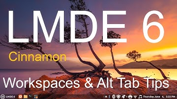 LMDE 6 - Cinnamon - Work Spaces & Alt Tab Tips.