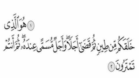 القران الكريم الجزء السابع الجزء 7 (بدون اعلانات)