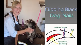 Clipping Black Dog Nails (with Grinding)  Gina's Grooming