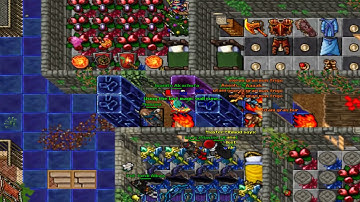 Skyper On Baiak Ilusion Part 3