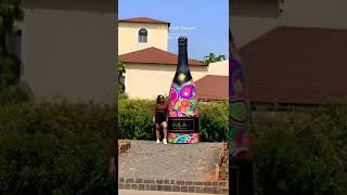 A day at Sula Vineyard #minivlog #sundayfunday 🌻☀️🌱✨