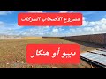 مشرو ديبو أو هنكار في مدينة الجديدة قرب مولاي عبدالله ل أصحاب الشركات 0673426191