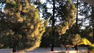 Wind 45 mph