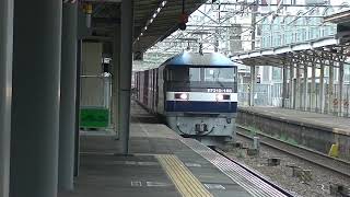 山陽本線 下り 貨物列車 63レ EF210-169号機 機関車 牽引 コンテナ貨物 13両編成 JR貨物 広島 2019.11.3 01098