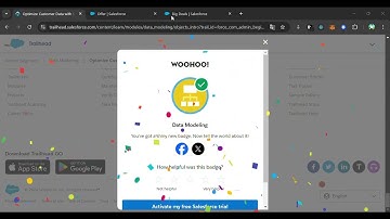 Optimize Customer Data with Standard and Custom Objects (2024) | Trailhead Salesforce | Tech Paone