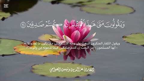 تلاوة عطرة للقارئ عز الدين العوامي 🌿تريح القلوب و تنير العقول 🌿🌿