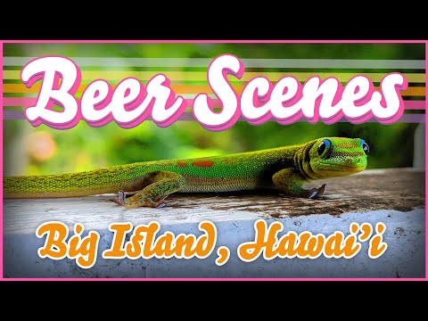 Video: Die besten Craft Beer Spots in Island