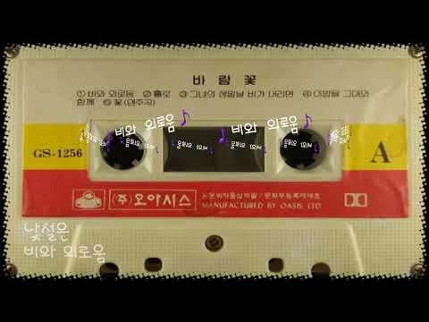 바람꽃 비와 외로움 가사