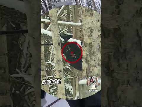 Winter Magfed Paintball #shorts