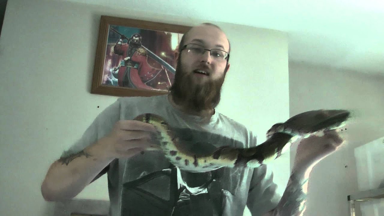 wife and kids Kelfezond - I want a snake!