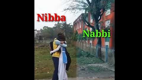 nibba nibbi vs single boy funny video WhatsApp status