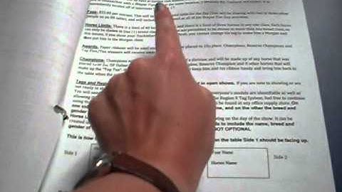 Prepping for a Model Horse Show Part 1