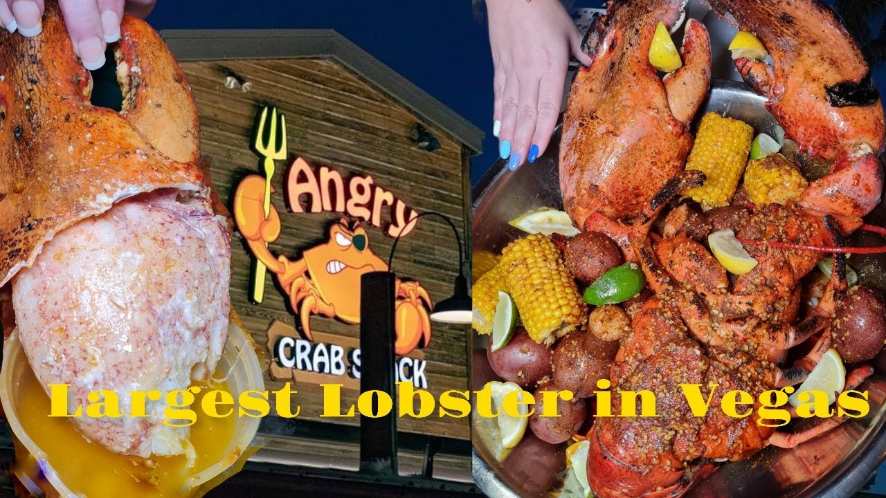 Largest Lobster in Vegas YouTube