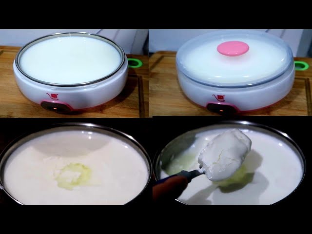 Suteck Yogurt Maker Automatic Digital Yoghurt Maker Machine & Reviews