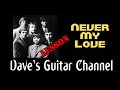 LESSON - Never My Love by the Association