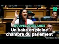 En nouvellezlande cette dpute maorie sidre le parlement avec son premier discours enflamm
