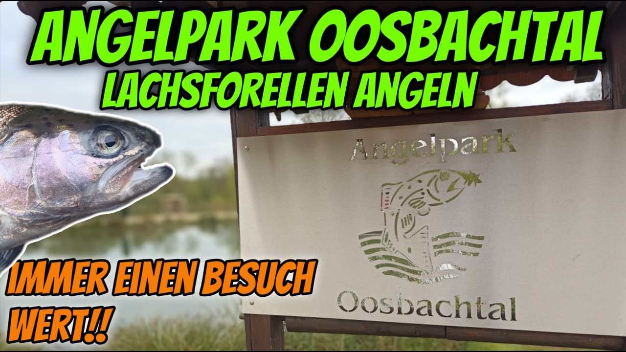 Angelpark Oosbachtal Lachsforellenangeln bei Schwierigen Bedingungen 