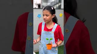 Kids Learn About Plants🪴