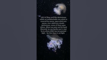 سورة النور - An-Noor