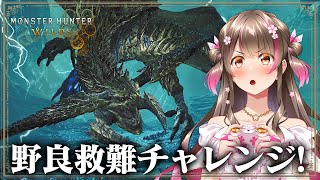 桜ころみんの配信のサムネイル画像