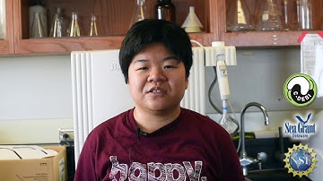 15 Second Science -  Ophiolites