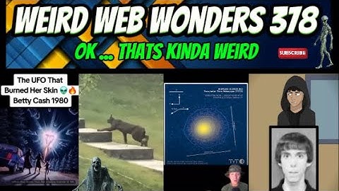 weird web wonders 378