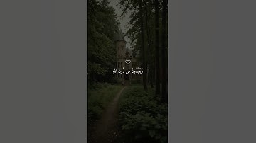 تلاوة خاشعة | #ماهر_المعيقلي #قران_شاشة_سوداء #قران #المصحف #القرآن_الكريم