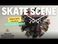 Skate scene art show at media arts council presented by the delco skatepark coalition