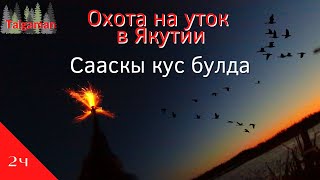 RUS|ENG Охота на уток в Якутии/ Жизнь в тайге Сааскы кус кэмэ 2022: Тымныы түүн. Бултуйуу /