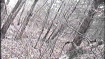 M.K.Davis discusses the quick glimpses video