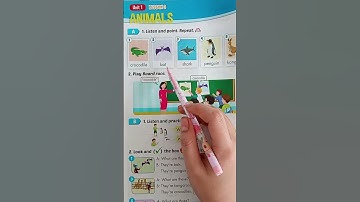 Học tiếng anh lớp 4  Unit 1  Lesson 3  A1 -  Smart Start 4