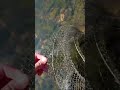 uzivanje pored vode pretplatite se za jos bolji videa🥰❤️‍🩹#fishing #viral #foryou