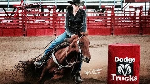 Smart Peppy Balsam - Ecko     ***For info, price, etc., go to our website*** Valley View Ranch