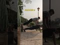 you are not a good duo