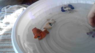 lps Pool Party Part 2