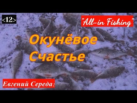 Окунёвое счастье. "All-in Fishing". Вып. 12.
