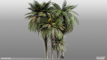 Palm Tree Game Ready Timelapse
