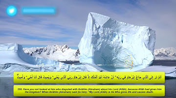الربع1|الحزب 5- بصوت أبو بكر الشبراوي (سورة البقرة)من 252 الى262