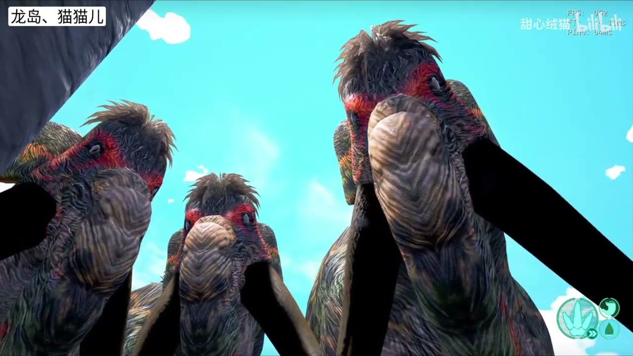 猫猫儿 恐龙岛大猎杀（上），龙小发育老是被针对，拉拢兄弟抱团才好进化完全体 ！！