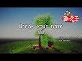 【カラオケ】Break your name/AAA