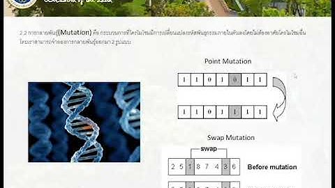 genetic algorithm วิธีการทางพันธุกรรม