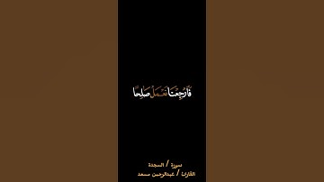 ولو ترى إذ المجرمون ناكسوا رؤوسهم  | سورة السجدة -القارئ عبدالرحمن مسعد