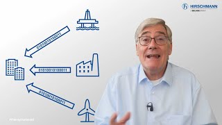 RSPAN in Industrial Networks