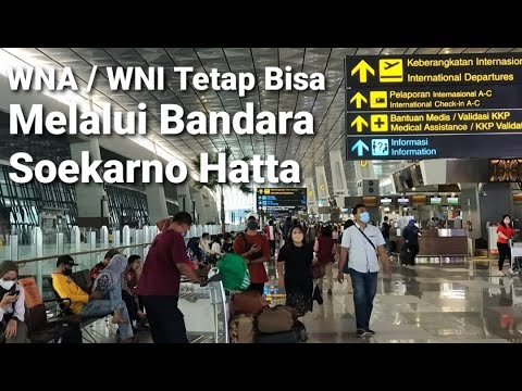 Video: Bilakah anda boleh mendaftar masuk untuk penerbangan Frontier?