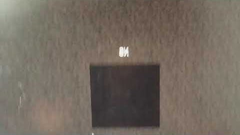 Safeway playing Minecraft