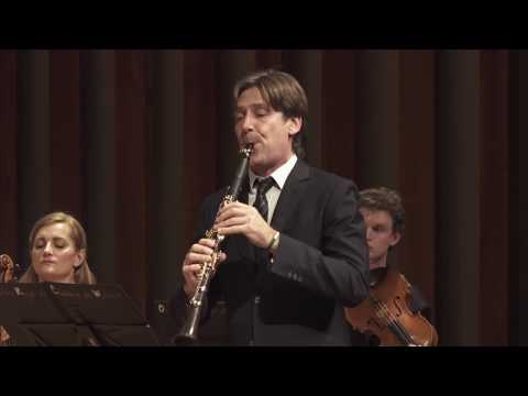 Telemann ­­: Concerto pour 2 chalumeaux et cordes - P. Meyer, M. Portal, ORCW - LIVE 4K