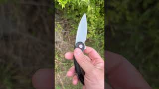 Icon Drop Point Knife D2 Steel Blade 7.5 inches Black G10 Handle And Clip