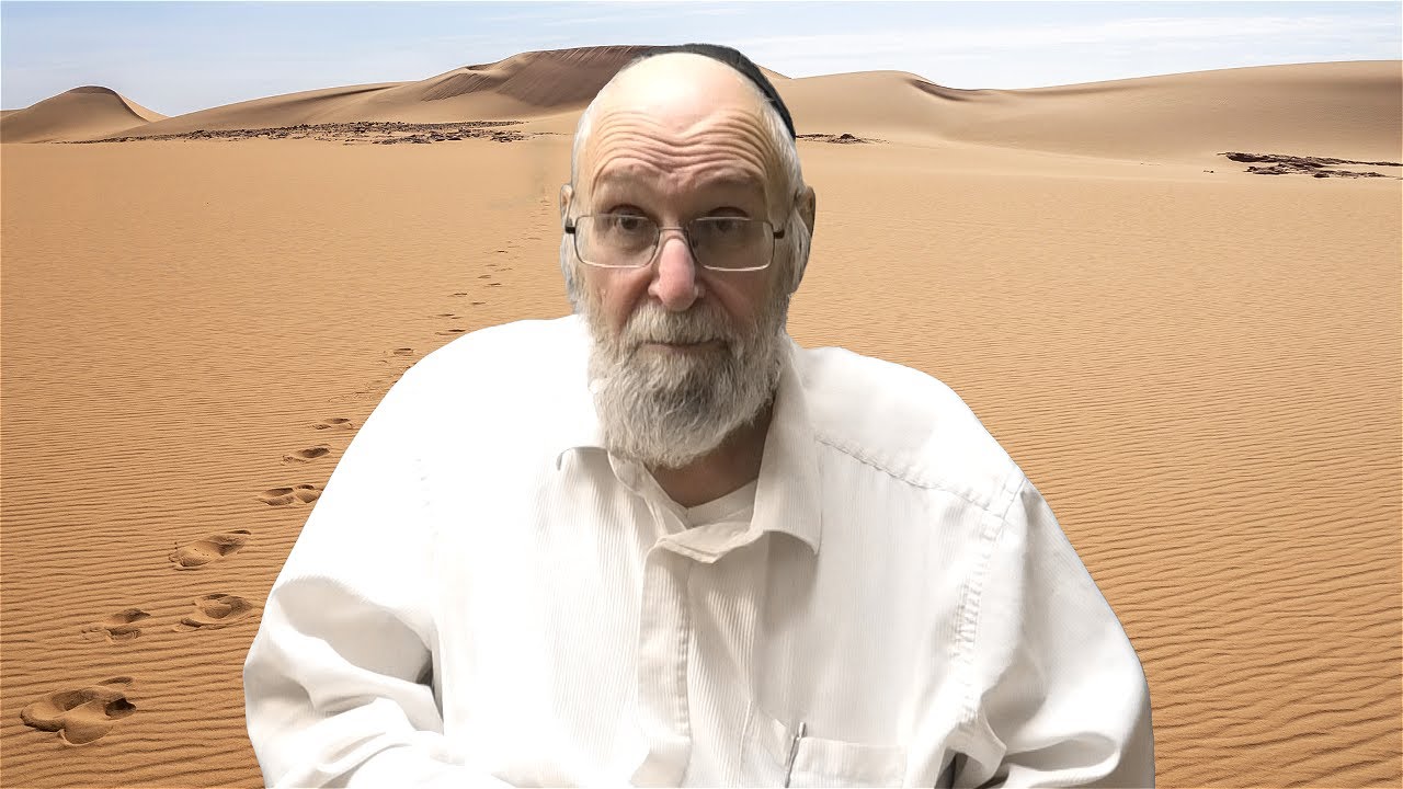 Parshat Lech Lecha with Reb Chaim Kramer